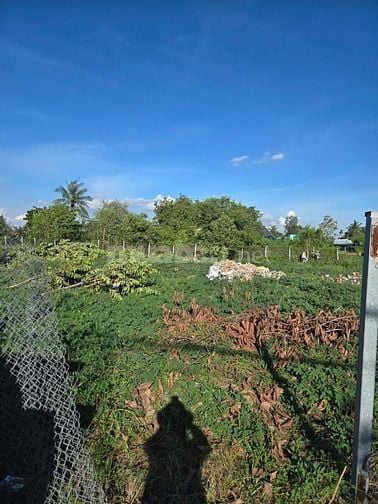 Bán Đất 300m2 Mặt Tiền 10m2 Đườg nhựa 6m2. Cần Giuộc Long An
