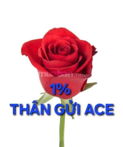 Bàn nhà phường 16, Gò Vấp, sát bên trường học
