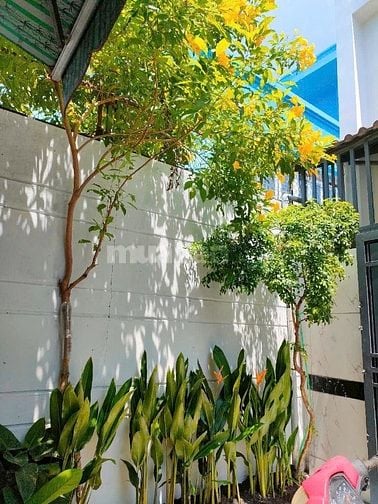 Bàn nhà phường 16, Gò Vấp, sát bên trường học