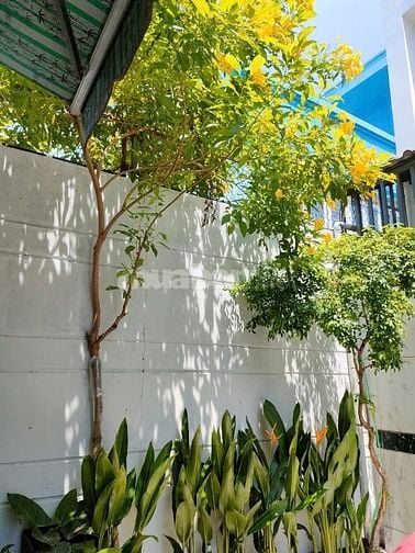 Bàn nhà phường 16, Gò Vấp, sát bên trường học