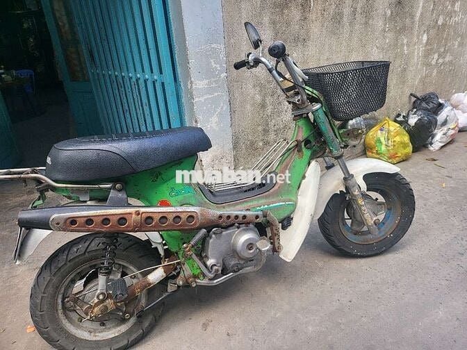 Chaly 50 máy êm