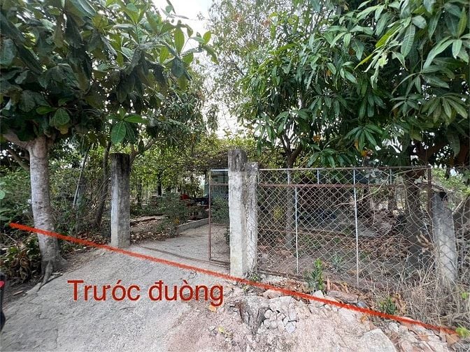 Đất TC Hàm Thuận Bắc 690tr thuong luong