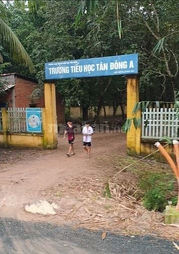 Ngộp lãi cắt lỗ sâu đất đường nhựa, tại xã Tân Đông,Tân Châu, Tây Ninh