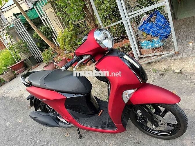 Xe 9 chủ