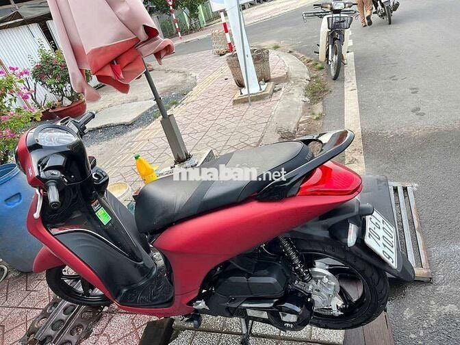 Xe 9 chủ