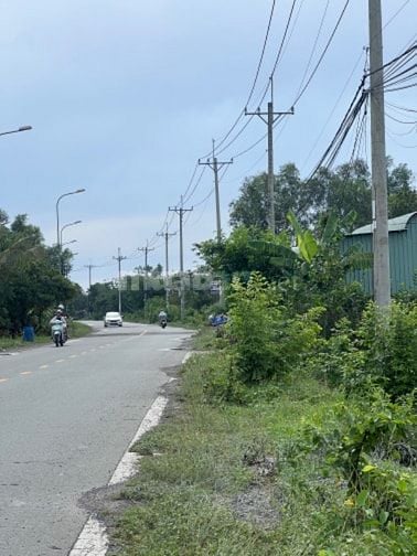 1,85 tỷ, đất đường Nguyễn Văn Khạ, Tân An Hội, Củ Chi.