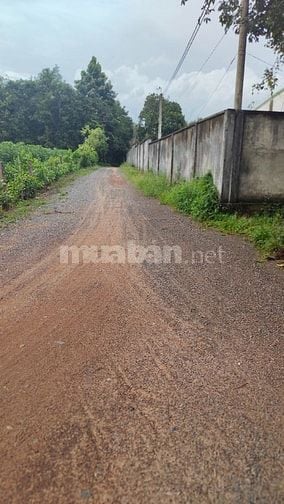 Bán đất phân lô xã Tân Hiệp Long Thành giá 414 tỷ