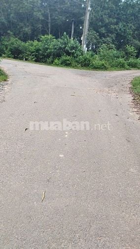 Bán đất phân lô xã Tân Hiệp Long Thành giá 414 tỷ