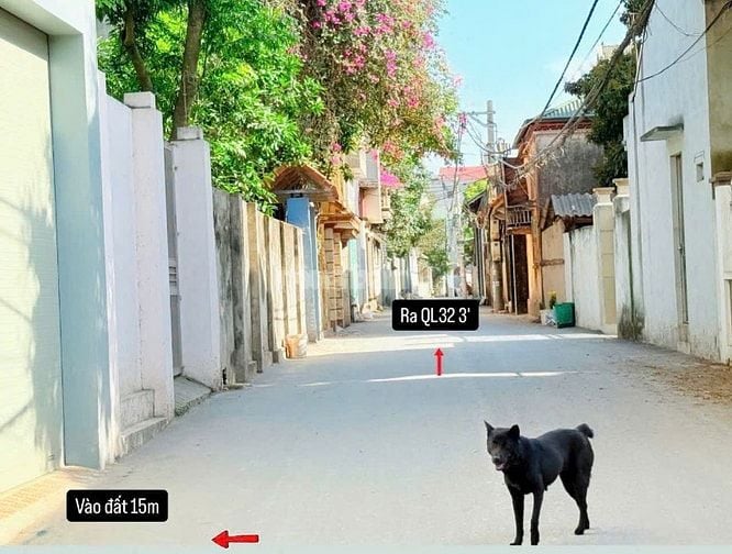 BÁN ĐẤT DI TRẠCH – GIÁ SIÊU TỐT CHỈ 8X TRIỆU/M² – CÁCH TRUNG TÂM MỘT B