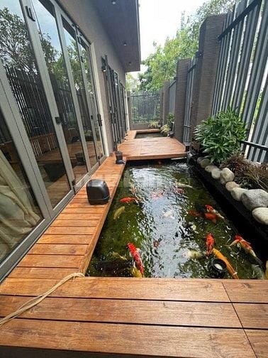 🏡 Cho thuê biệt thự sân vườn đẹp – KDC Bình Lợi, gần sông SG. BT