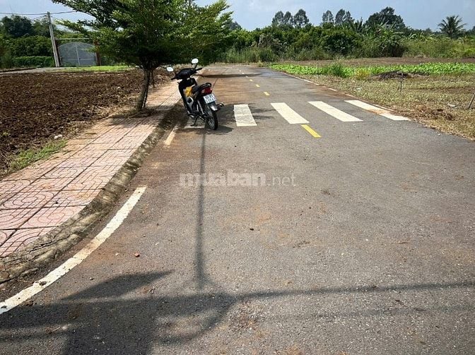 CHÍNH CHỦ BÁN ĐẤT TẠI SÂN BAY LONG THÀNH - THỐNG NHẤT – ĐỒNG NAI