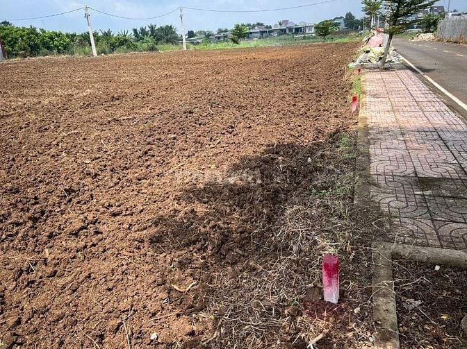 CHÍNH CHỦ BÁN ĐẤT TẠI SÂN BAY LONG THÀNH - THỐNG NHẤT – ĐỒNG NAI