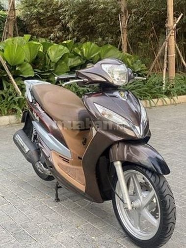Xe Shark đang sử dụng, biển hà nội