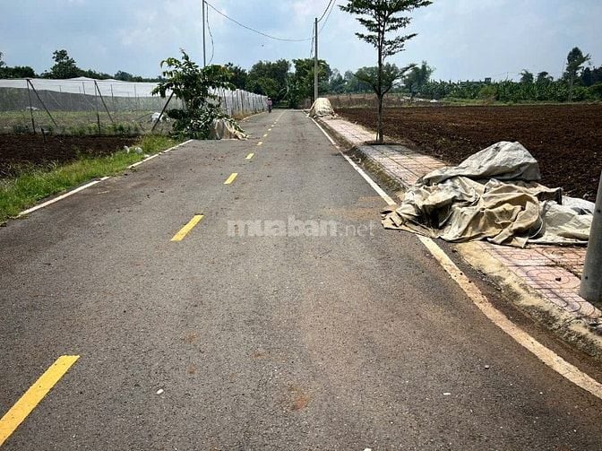 CHÍNH CHỦ BÁN ĐẤT TẠI SÂN BAY LONG THÀNH - THỐNG NHẤT – ĐỒNG NAI