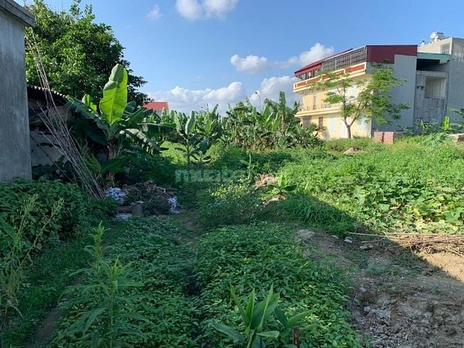 Bán lô đất giáp tái định cư thôn 5 Bắc sơn, An Dương, Hải Phòng, 