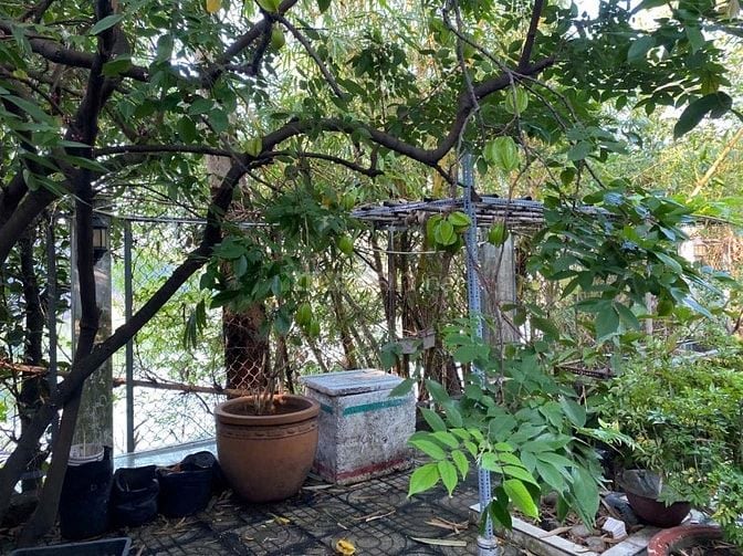 Bán nhà Biệt thự sân vườn Q12 , có dự án 2 MT , 600 m2 