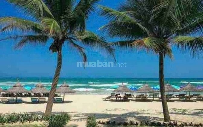 Bán Lô Đất Biển Mặt Tiền An Cư 7 - Sơn Trà, Đà Nẵng. Diện tích 80M2