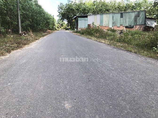🌟 CHỈ 9,56 TRIỆU/M² – ĐẤT MẶT TIỀN NHỰA AN VIỄN, TRẢNG BOM – GIÁ TỐT 