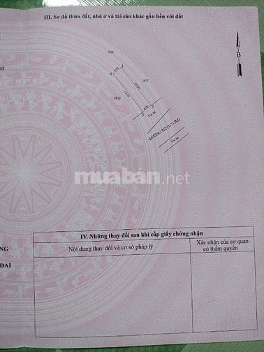 Chính chủ cần tiền bán gấp lô đất khu DC Tân Bình, Dĩ An, Bình Dương