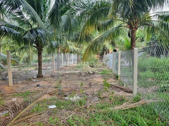 5x34 có 50m2 thổ cư. Gần trung tâm xã, đường bê tông. 650tr 