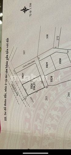 Giảm 1tỷ5 bán gấp 250m2 mặt tiền bạch đằng giá 15ty500