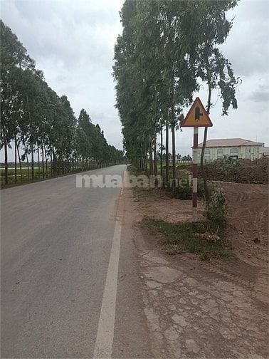 Bán 1,1ha đất kho nhà xưởng 50 năm tại Huyện Cẩm Giàng, Tỉnh Hải Dương