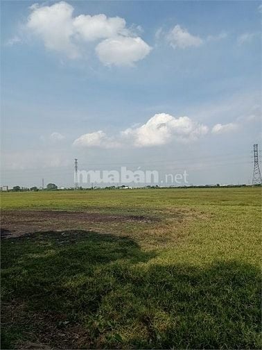 Bán 3,5ha đất kho nhà xưởng 50 năm tại Huyện Văn Giang, Hưng Yên