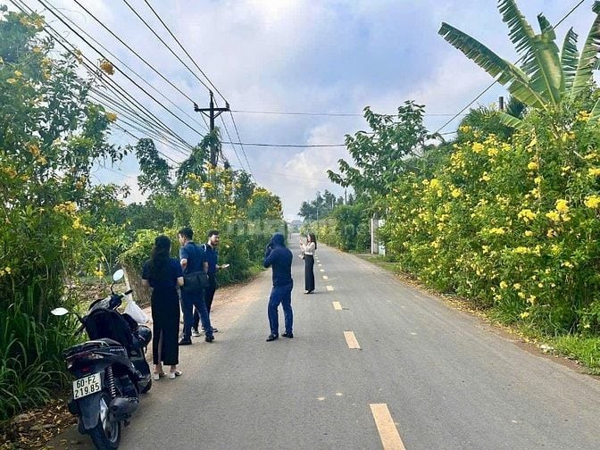 Bán nhà 1 trệt 1 lầu, 160m2, 3 phòng ngủ, đường Long Chiến, Bình Lợi