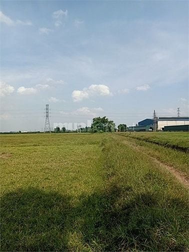 Bán 6ha đất kho nhà xưởng 50 năm tại Mỹ Hào, Tỉnh Hưng Yên