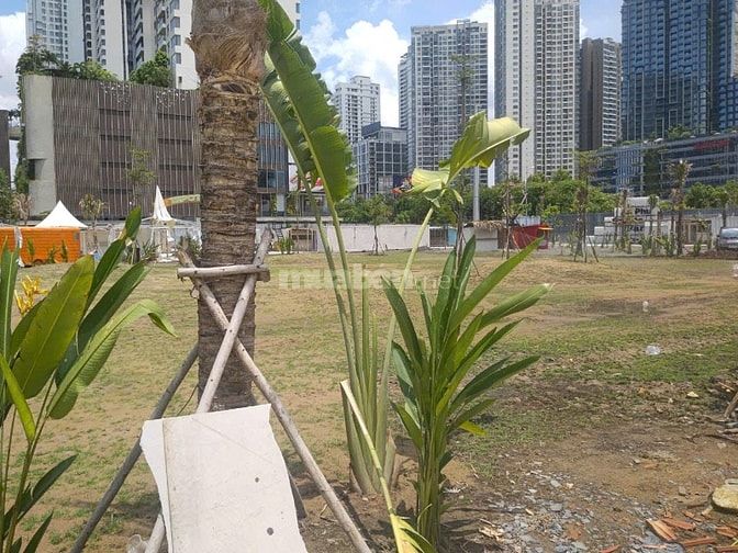 CHO THUÊ KIOSK TẠI 1SPOT GARDEN – AN PHÚ | TRẢI NGHIỆM KINH DOANH “XAN