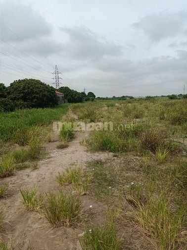Cần chuyển nhượng nhà máy xử lý rác thải tại Tỉnh Cao Bằng. DT 11ha