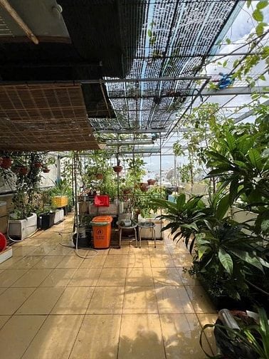 GẤP MTKD ngang LẠ 6m 5lầu 120m2 Nguyễn Phúc Chu ở & KD gần chợ 20.5 tỷ