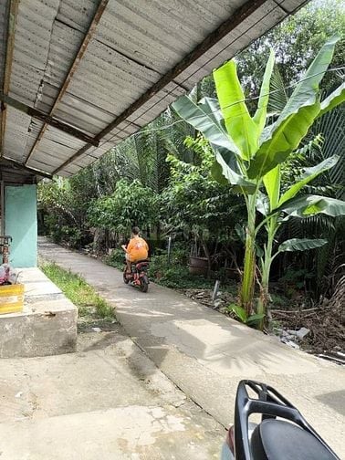 chính chủ bán đất tặng nhà cấp 4 Đường 826C, Xã Long Hậu