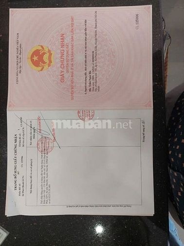 chính chủ bán đất tặng nhà cấp 4 Đường 826C, Xã Long Hậu