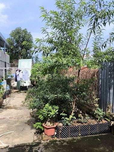 chính chủ bán đất tặng nhà cấp 4 Đường 826C, Xã Long Hậu