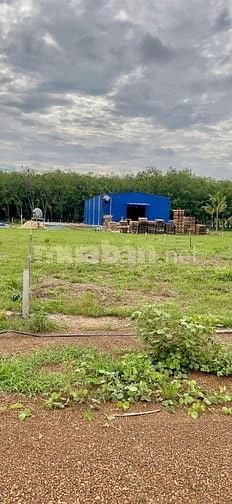 CHÍNH CHỦ BÁN ĐẤT GIÁ RẺ CÒN THƯƠNG LƯỢNG