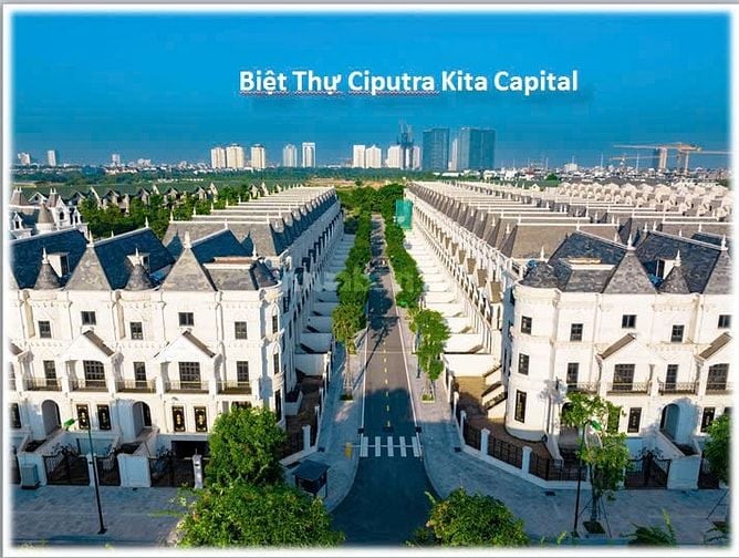 Cập nhật các căn biệt thự bán KĐT Ciputra,Tây Hồ, Hà Nội 