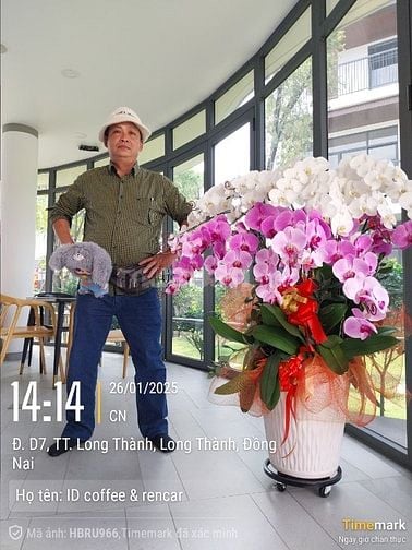 tìm việc chạy xe 4 chỗ đến 30 chỗ 