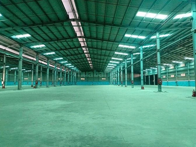 CHO THUÊ KHO XƯỞNG 13.000M2 – BẾN LỨC, LONG AN
