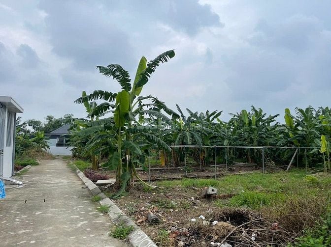 Bán lô đất 60m2 tại Kiều Hạ, Quốc Tuấn, An Dương, Hải Phòng. Giá 760 t