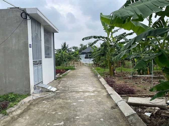 Bán lô đất 60m2 tại Kiều Hạ, Quốc Tuấn, An Dương, Hải Phòng. Giá 760 t