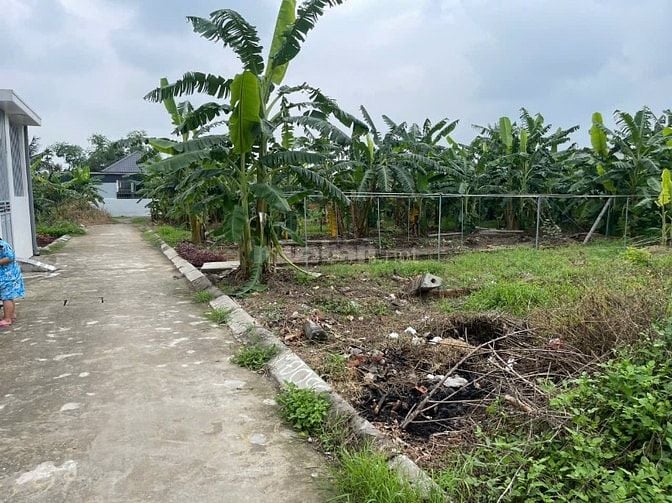 Bán lô đất 60m2 tại Kiều Hạ, Quốc Tuấn, An Dương, Hải Phòng. Giá 760 t