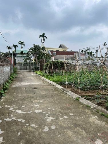 Bán lô đất 60m2 tại Kiều Hạ, Quốc Tuấn, An Dương, Hải Phòng. Giá 760 t