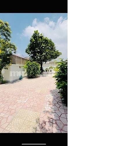 Cho thuê Biệt thự MT Ng.Cửu Phú(ĐĐTNghi), P.T.Kiên, H.B.Chánh gía 38tr