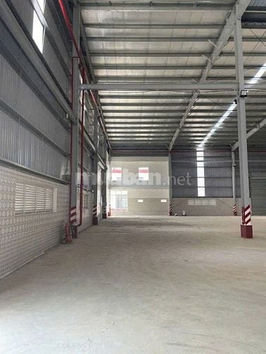 Cho thuê kho xưởng chuẩn KCN ,giá tốt gần cảng lớn, Cần Giuộc, Long An
