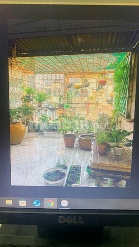 Cho thuê nhà hẻm 3m Tô Hiến Thành, P.15, Q.10 giá 12tr 