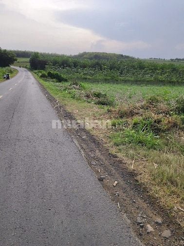 Bán đất mặt tiền Quốc Lộ 29 huyện Sông Hinh, tỉnh Phú Yên