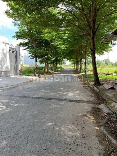 VP BĐS Đất Việt, nằm trục chính hẻm 68, chuyên kí gửi DA Thời báo TT