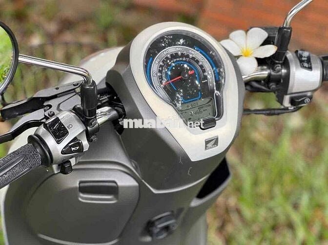 Cần bán xe scoopy xe nhập như hình