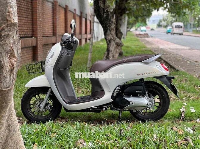 Cần bán xe scoopy xe nhập như hình